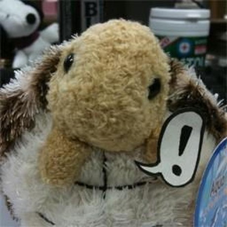 Bear MCP Server